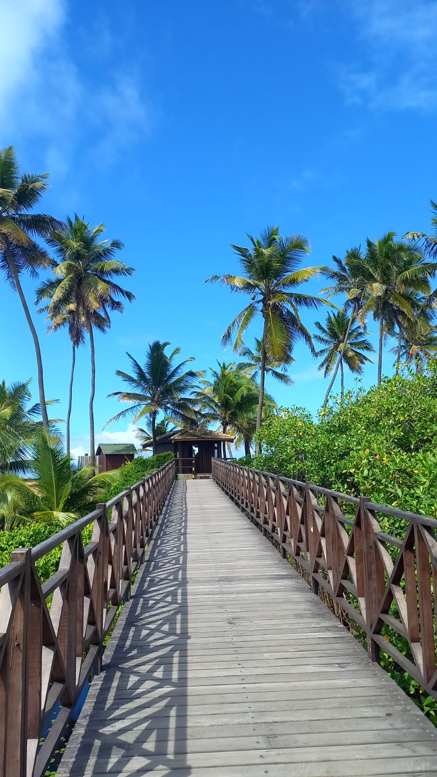 Passarela de madeira ladeada por vegetação tropical levando à praia.